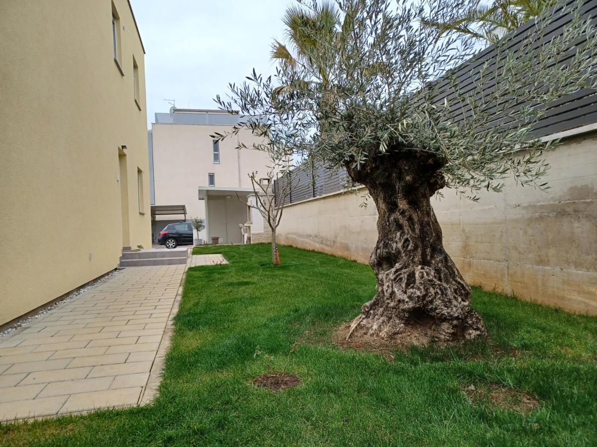 Apartments Leon 2 Novigrad Istria 外观 照片